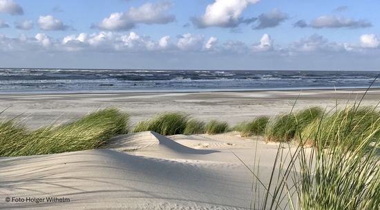  Naturschutz und Tourismus am Bsp. Wattenmeer